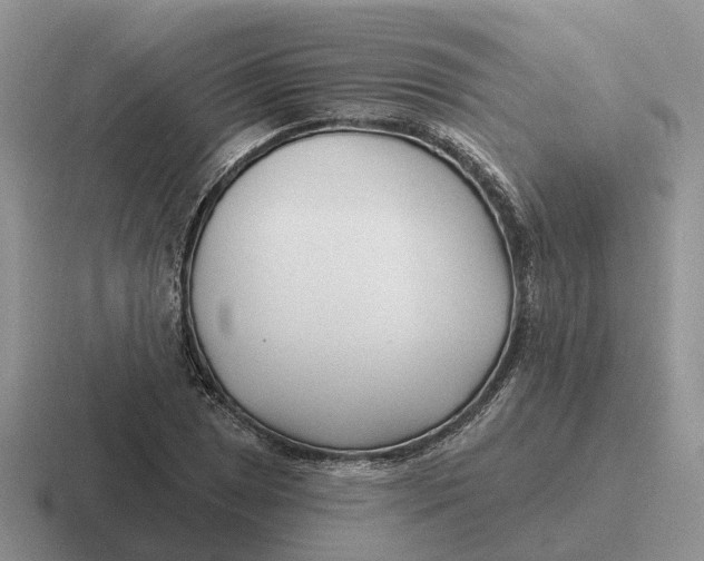 X0000116671025201001041125