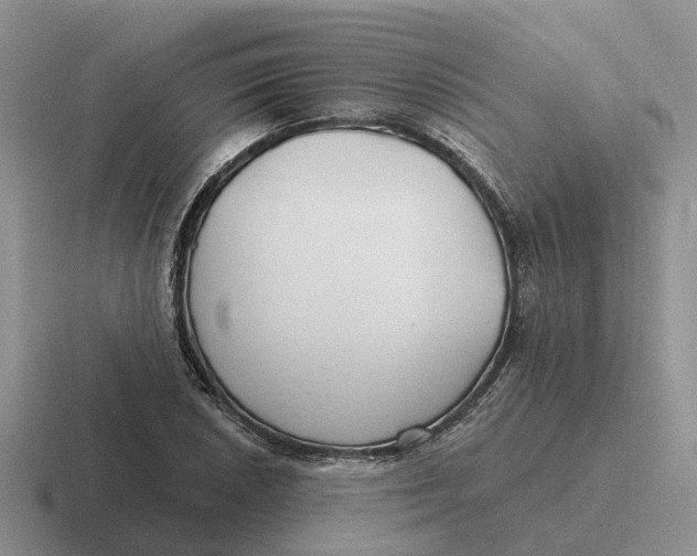 X0000116671026201001041125