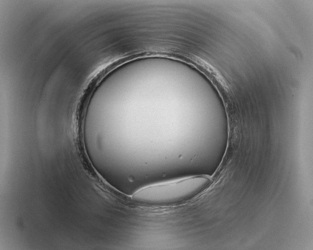 X0000116671027201001041125