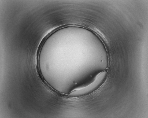 X0000116671028201001041125