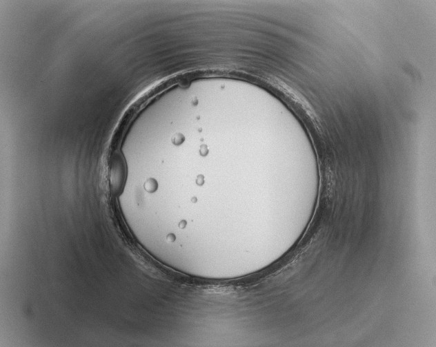 X0000116671029201001041125