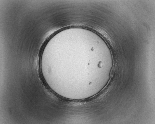 X0000116671030201001041125