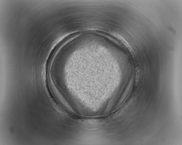 X0000116671031201001041125