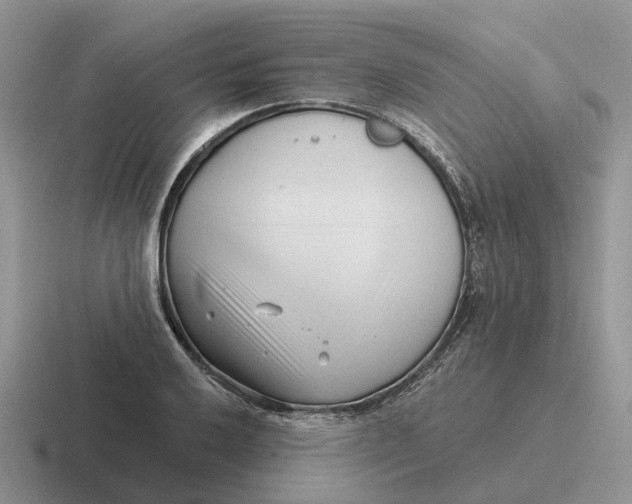 X0000116671032201001041125