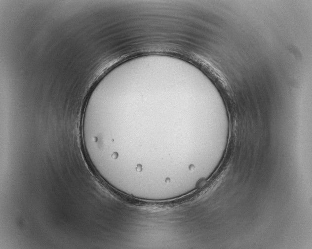 X0000116671033201001041125