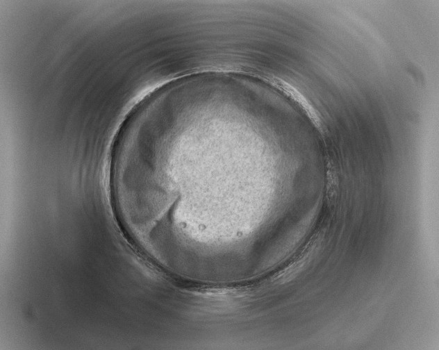 X0000116671035201001041125