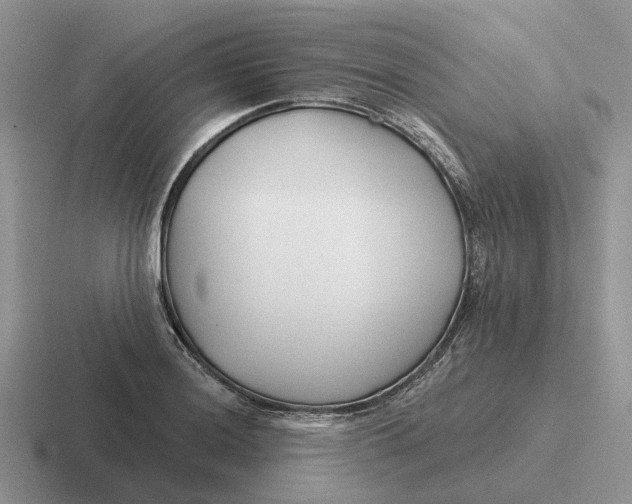 X0000116671036201001041125