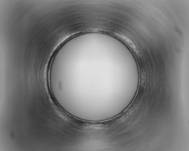 X0000116671039201001041125