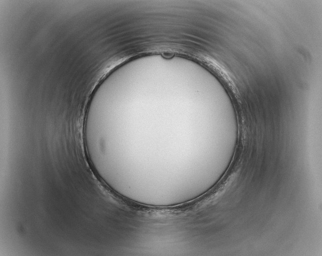 X0000116671041201001041125