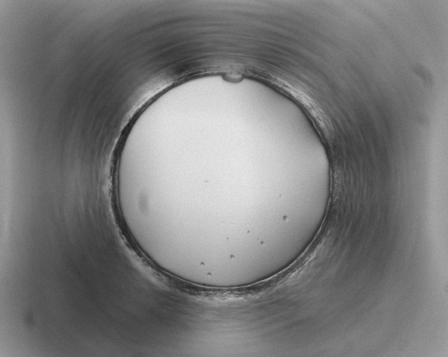 X0000116671042201001041125