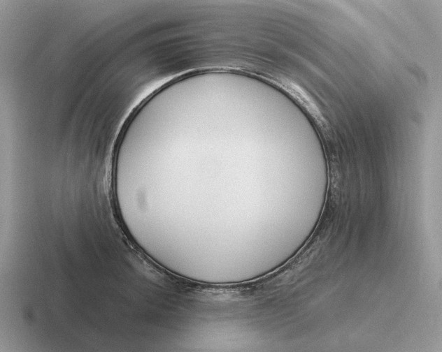 X0000116671044201001041125