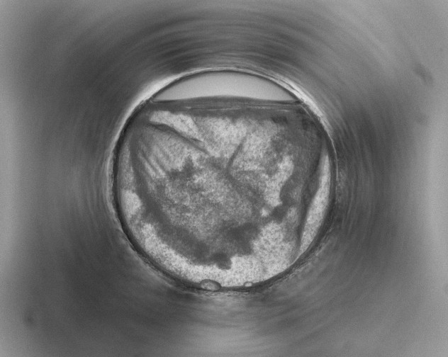 X0000116671045201001041125