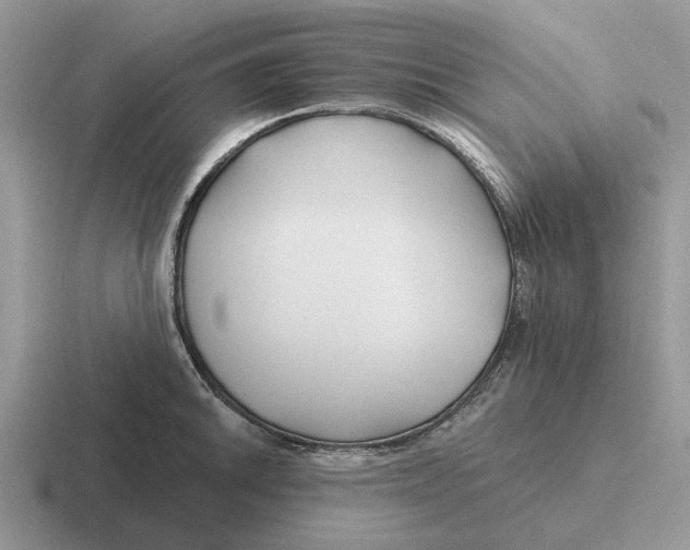 X0000116671046201001041125