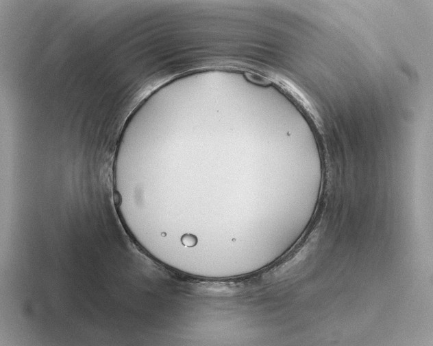 X0000116671049201001041125