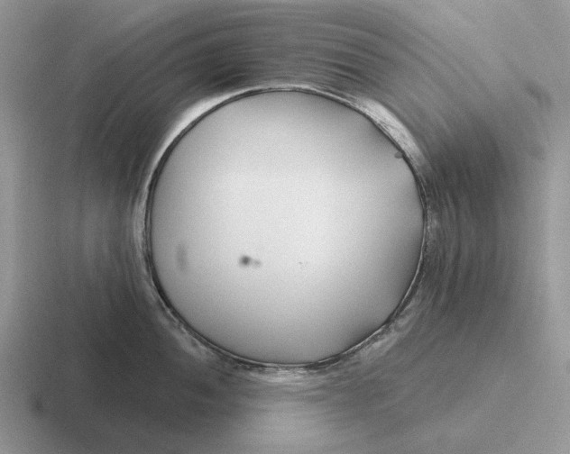 X0000116671052201001041125