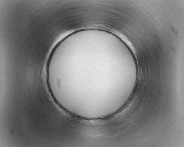 X0000116671053201001041125