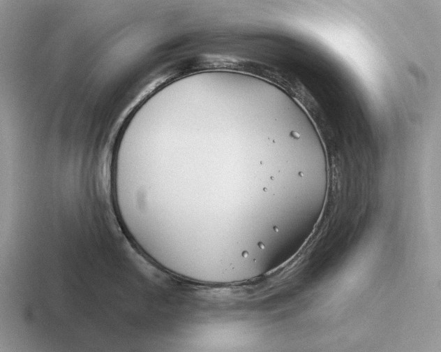 X0000116671054201001041125