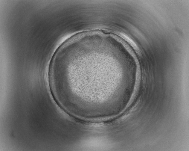 X0000116671055201001041125