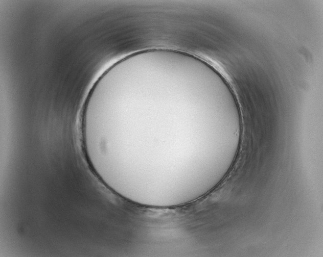 X0000116671056201001041125