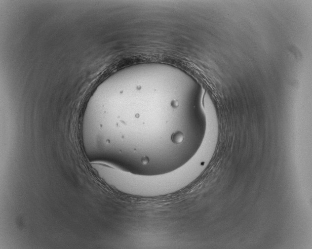 X0000116671057201001041125