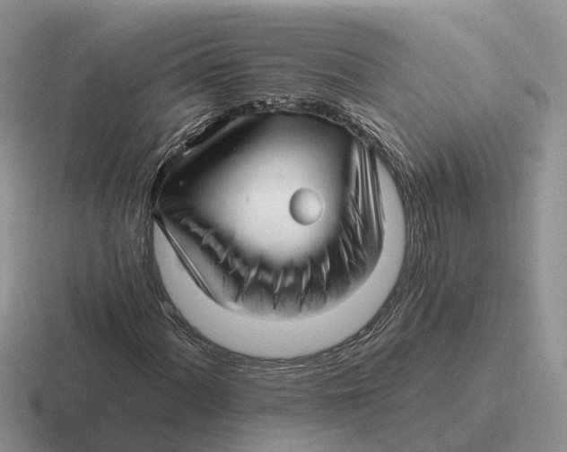 X0000116671060201001041125