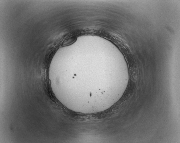 X0000116671061201001041125