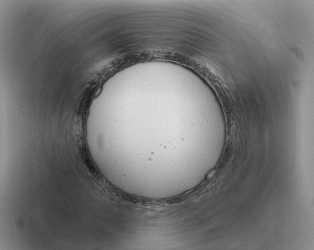 X0000116671062201001041125