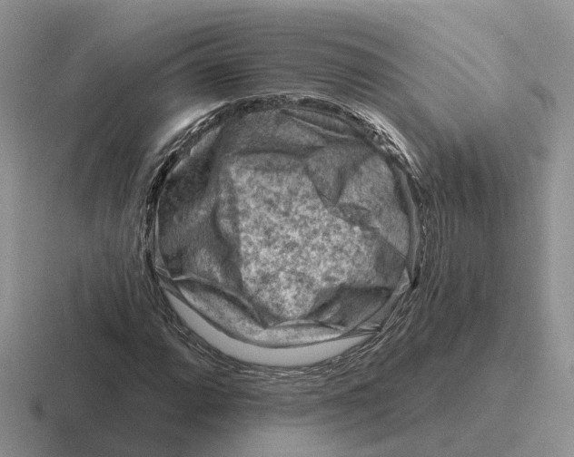 X0000116671064201001041125