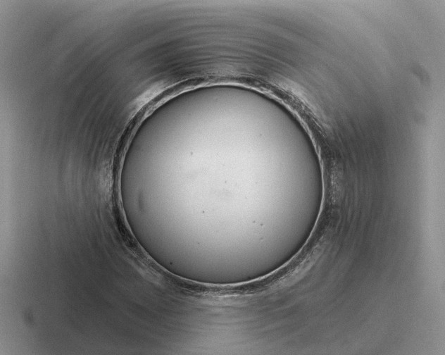 X0000116671065201001041125