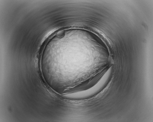 X0000116671066201001041125