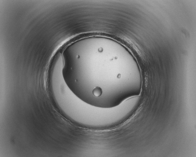 X0000116671069201001041125