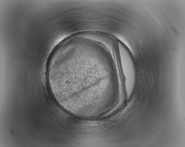 X0000116671071201001041125