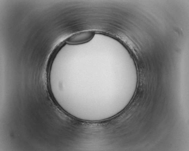 X0000116671072201001041125