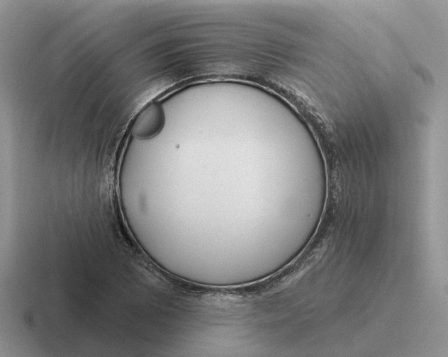 X0000116671073201001041125