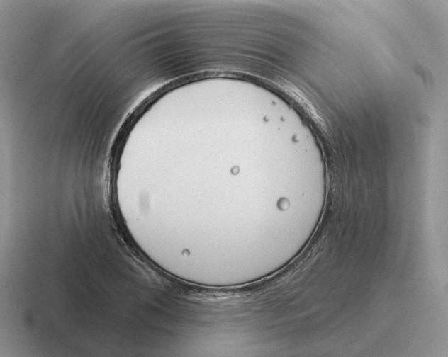 X0000116671076201001041125