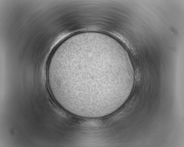 X0000116671078201001041125