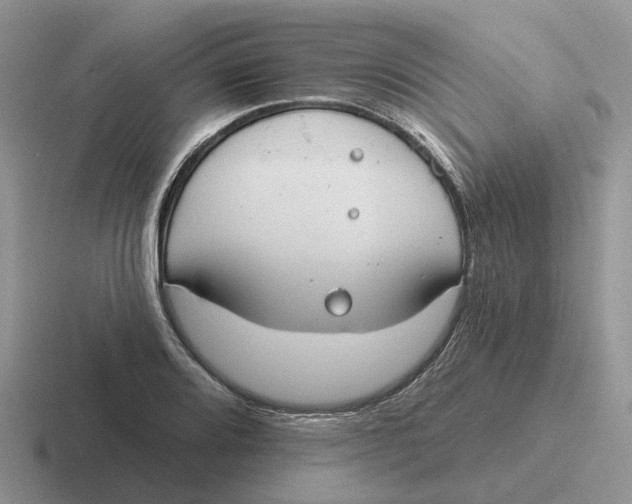 X0000116671080201001041125