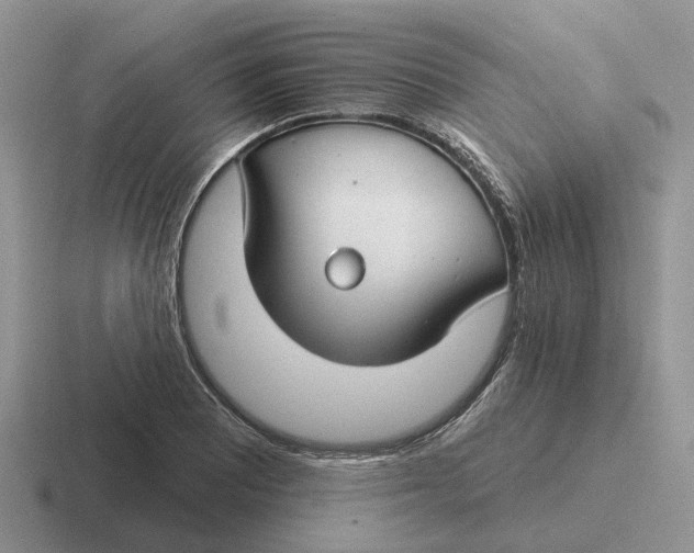 X0000116671081201001041125