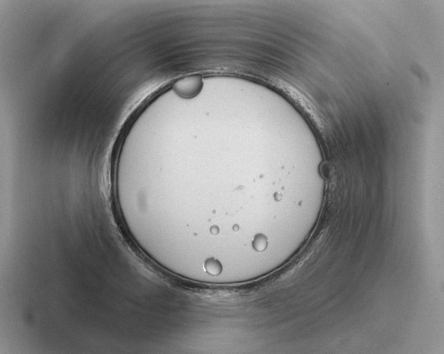 X0000116671082201001041125