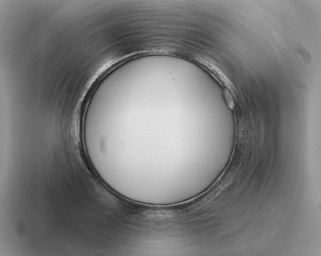 X0000116671083201001041125