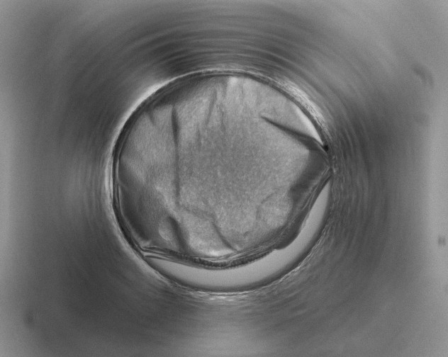 X0000116671084201001041125