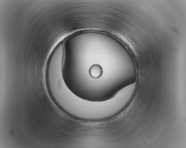 X0000116671085201001041125