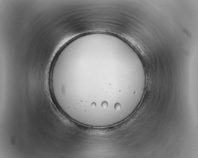 X0000116671086201001041125