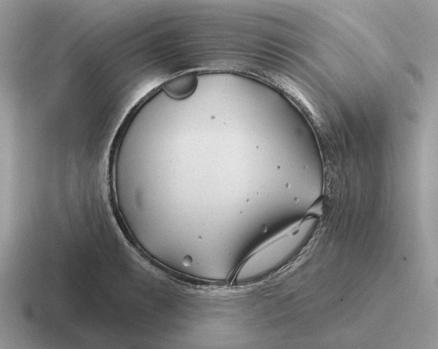 X0000116671087201001041125