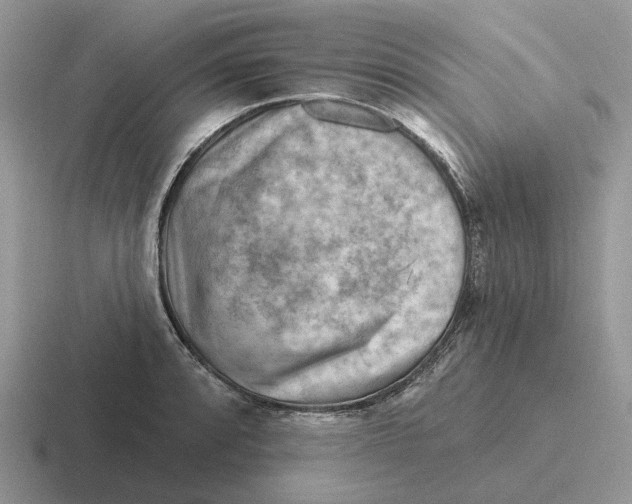 X0000116671088201001041125