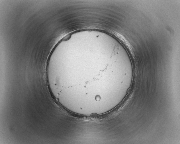 X0000116671089201001041124