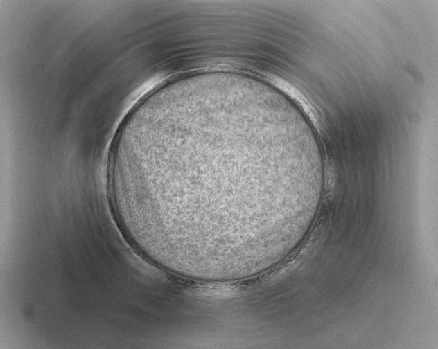 X0000116671090201001041124