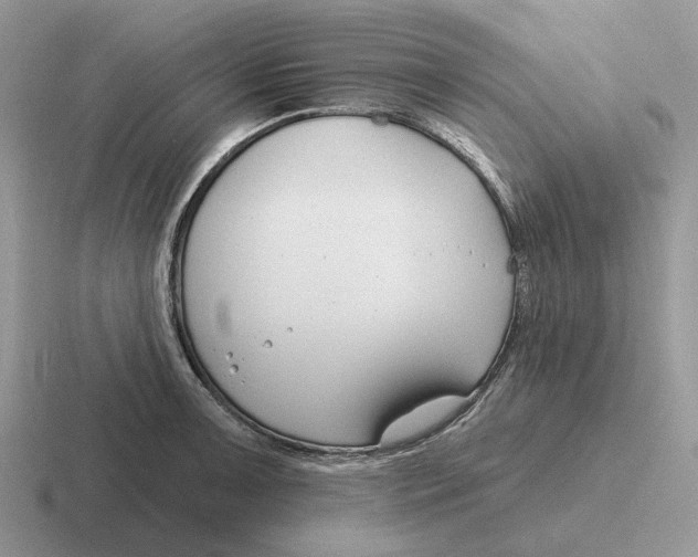 X0000116671091201001041124