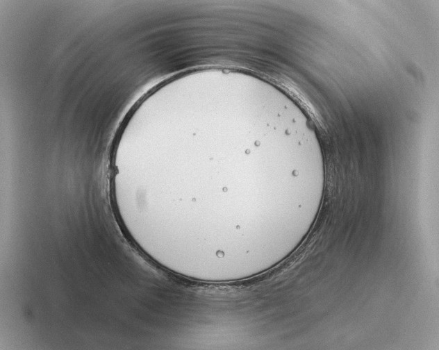 X0000116671092201001041124