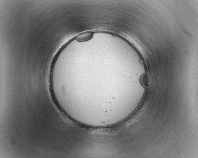 X0000116671093201001041124